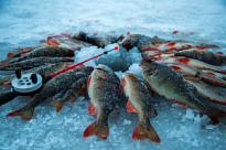 Наступило время зимней рыбалки