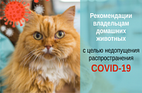 Рекомендации владельцам домашних животных с целью недопущения распространения новой коронавирусной инфекции (COVID-19)