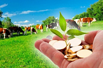 ВНИМАНИЕ! СРОЧНО! Внесение изменений в государственную программу ХМАО-Югры «Развитие агропромышленного комплекса»